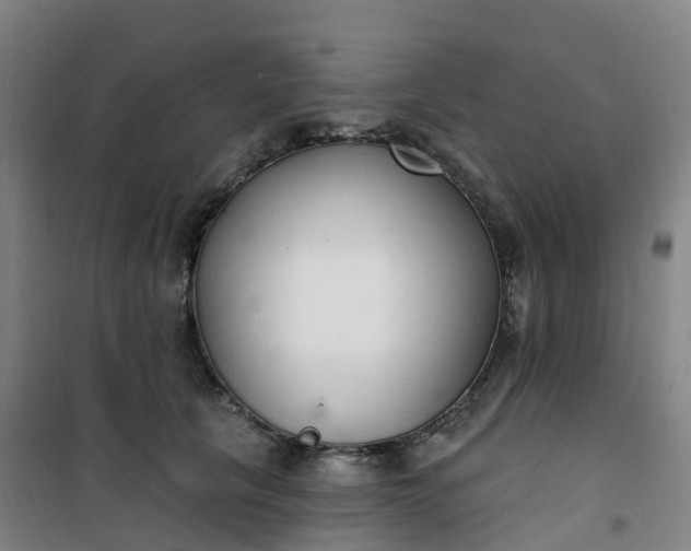 X0000101180657200807111116