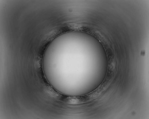 X0000101180658200807111116