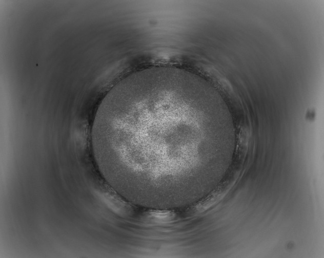 X0000101180659200807111116