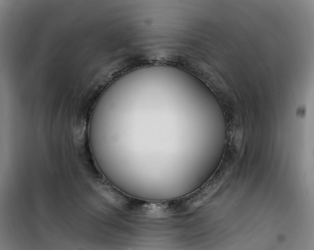 X0000101180660200807111116