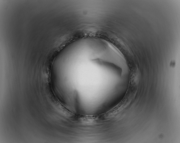 X0000101180661200807111116