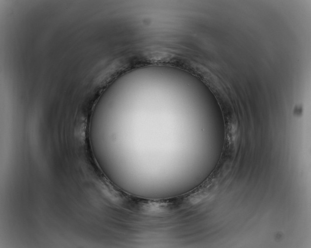 X0000101180664200807111117