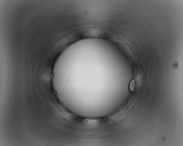 X0000101180665200807111117