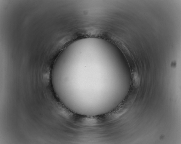 X0000101180668200807111117