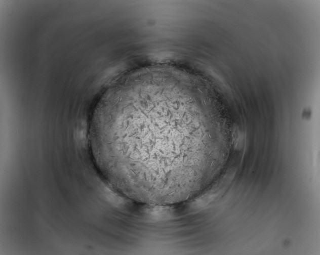 X0000101180670200807111117