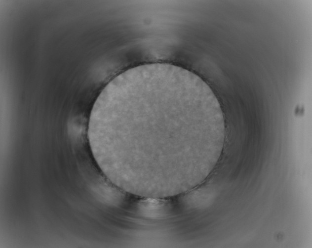 X0000101180672200807111117
