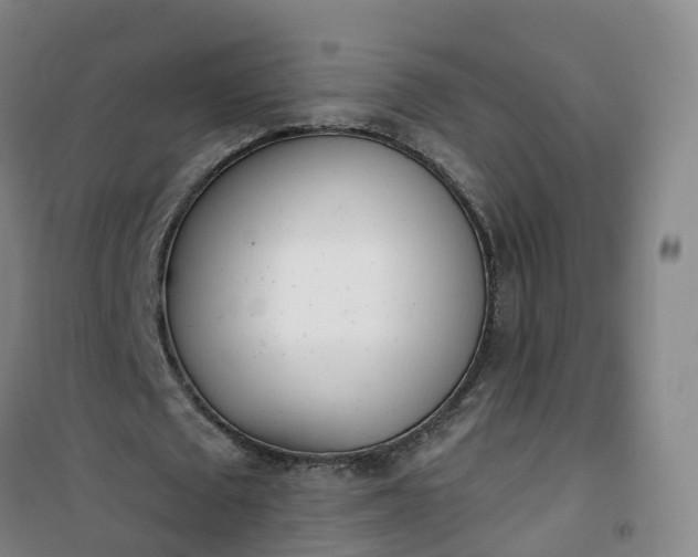 X0000101180673200807111116