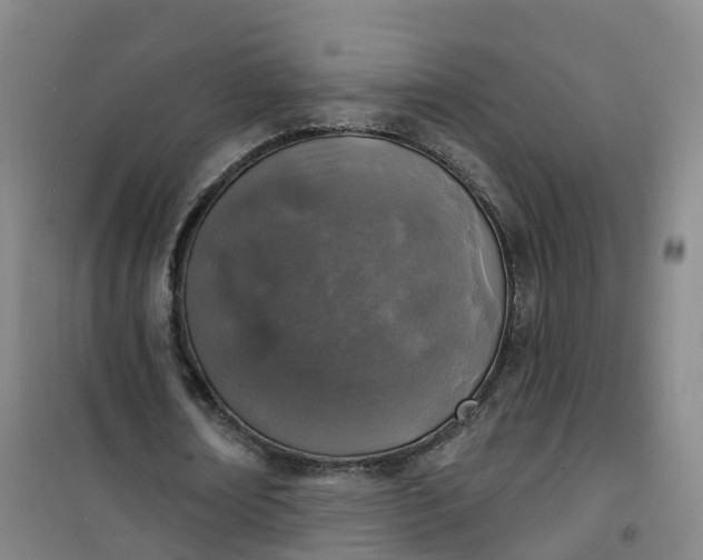 X0000101180674200807111116