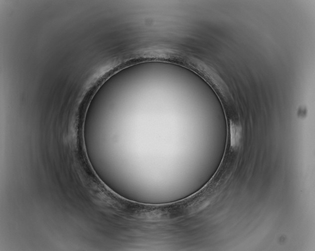 X0000101180675200807111116
