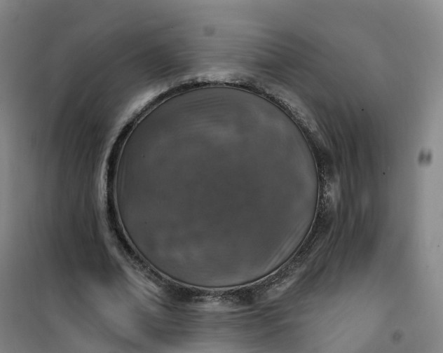 X0000101180678200807111116