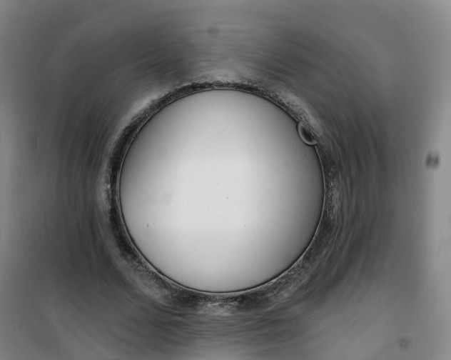 X0000101180680200807111116
