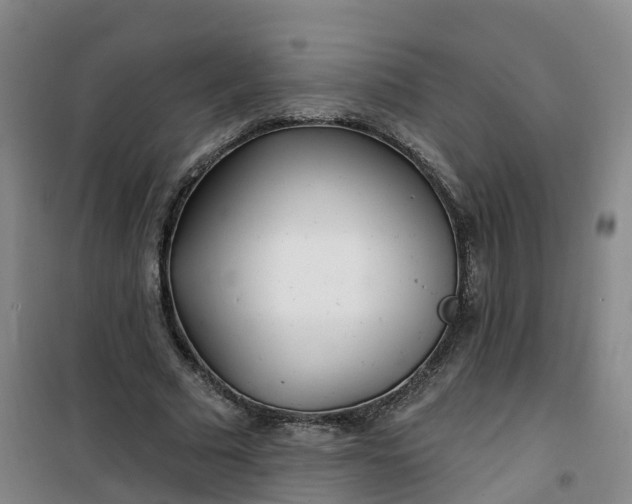 X0000101180681200807111116