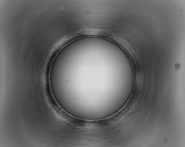 X0000101180682200807111116