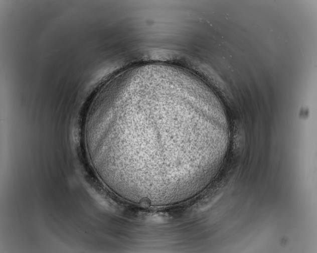 X0000101180683200807111116