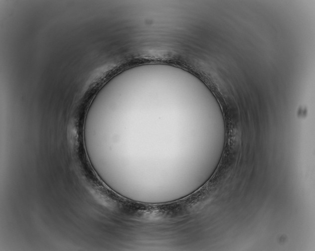 X0000101180688200807111116