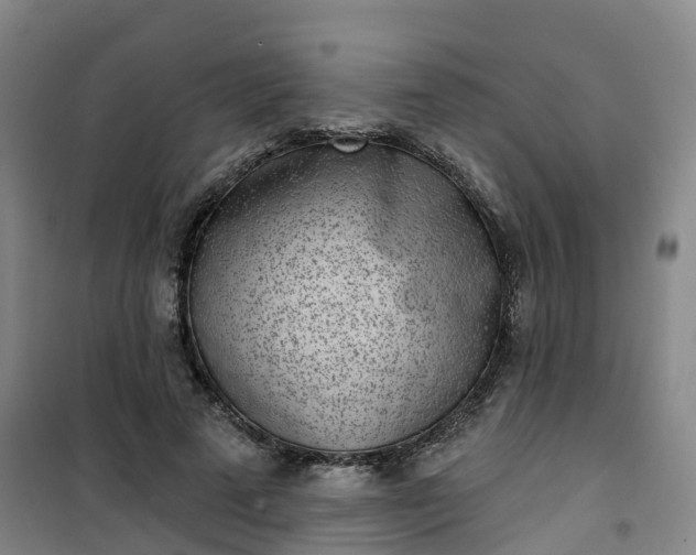 X0000101180689200807111116