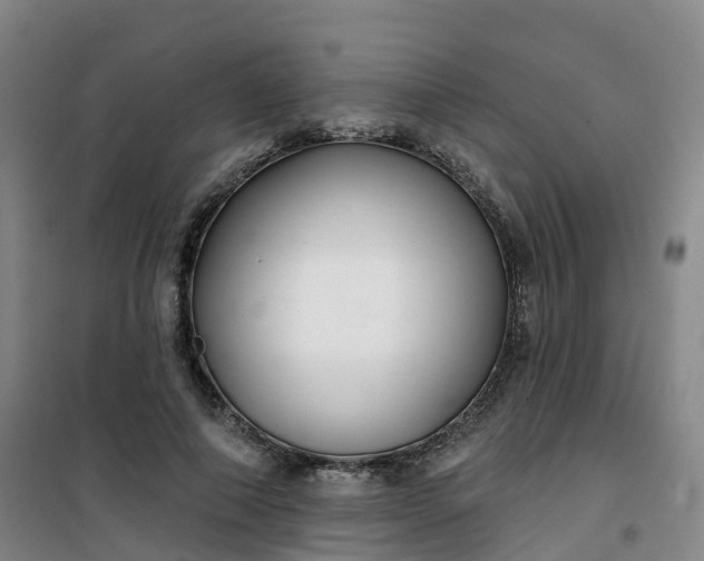 X0000101180690200807111116