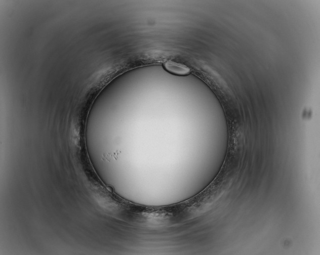 X0000101180693200807111116