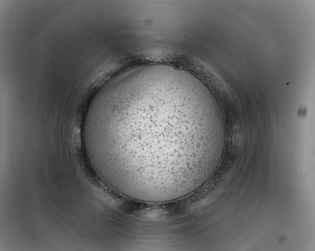 X0000101180696200807111116