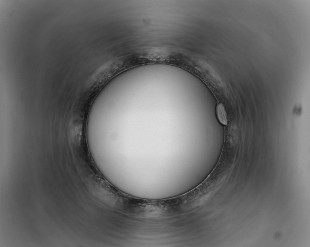 X0000101180697200807111116