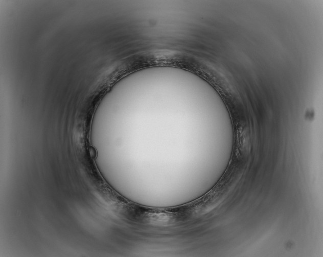 X0000101180698200807111116