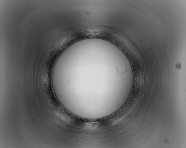 X0000101180700200807111116