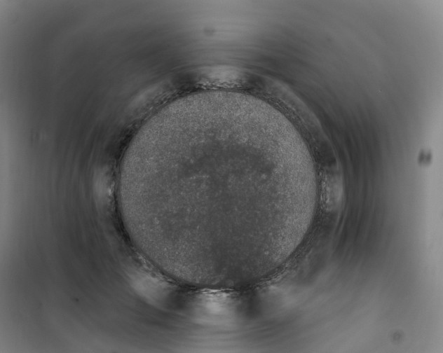 X0000101180701200807111115