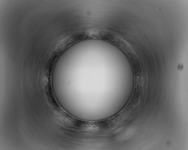X0000101180702200807111115