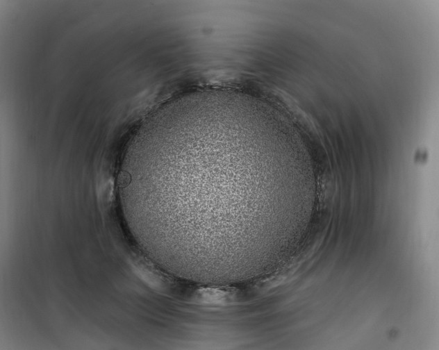 X0000101180703200807111115