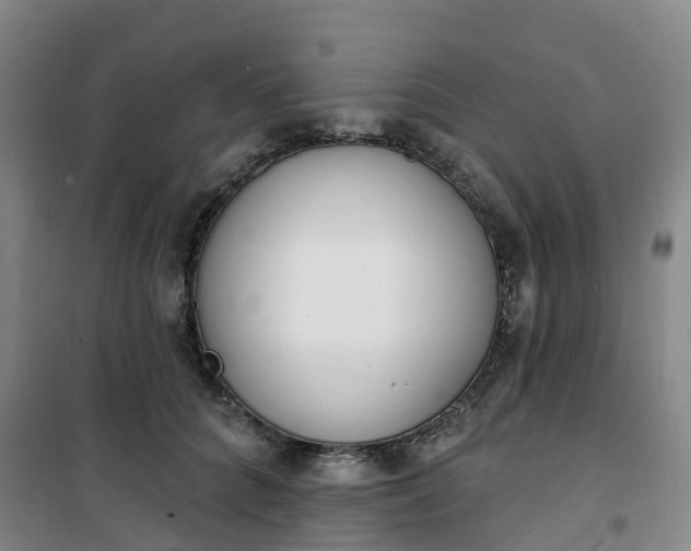 X0000101180704200807111115