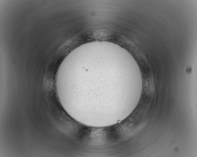 X0000101180705200807111115