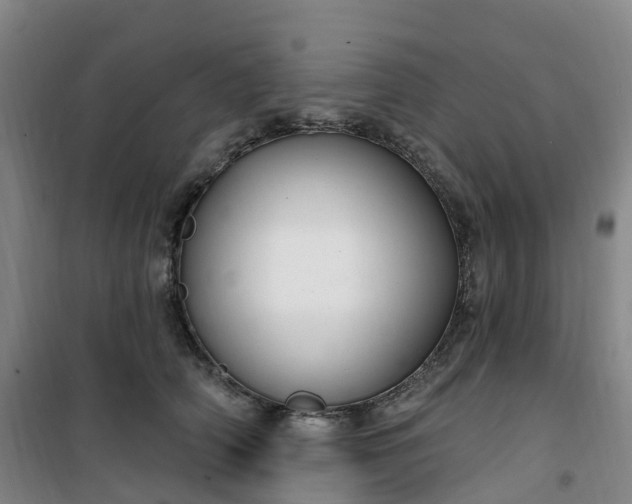 X0000101180706200807111115