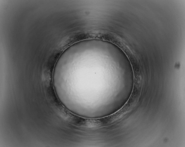 X0000101180707200807111115