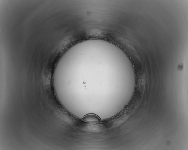 X0000101180708200807111115