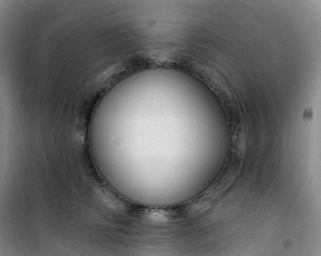 X0000101180710200807111115