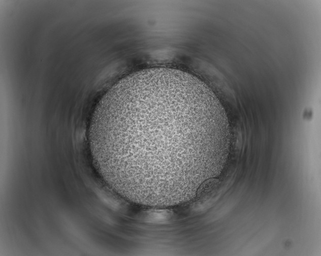 X0000101180711200807111115