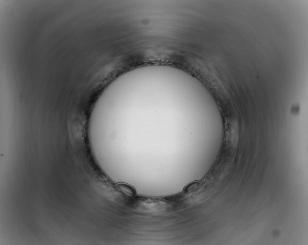 X0000101180712200807111115