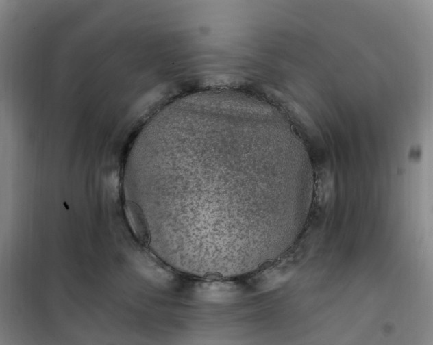 X0000101180716200807111115