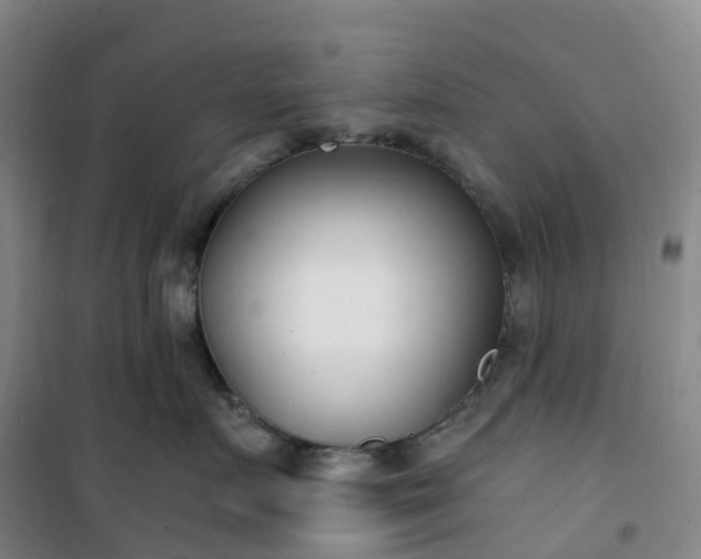 X0000101180719200807111115