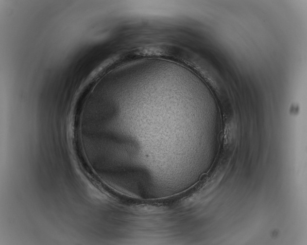 X0000101180722200807111114