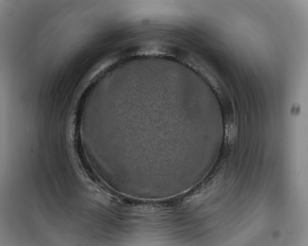 X0000101180724200807111115