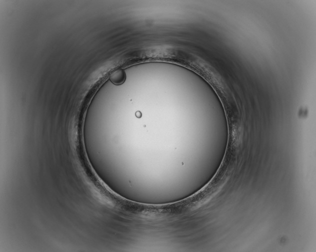 X0000101180725200807111115