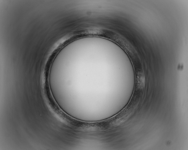X0000101180726200807111115