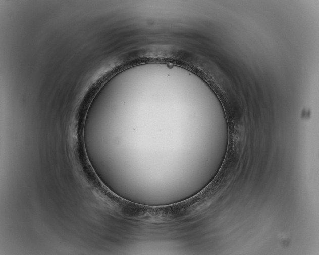 X0000101180727200807111115