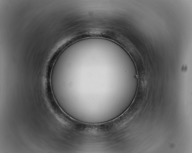 X0000101180728200807111115