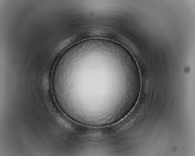 X0000101180729200807111115