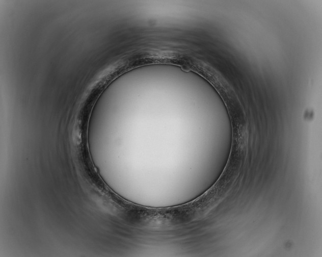 X0000101180731200807111115