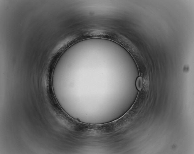 X0000101180732200807111115
