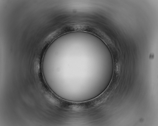 X0000101180733200807111115