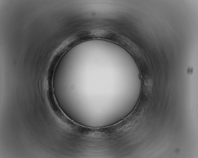 X0000101180734200807111115